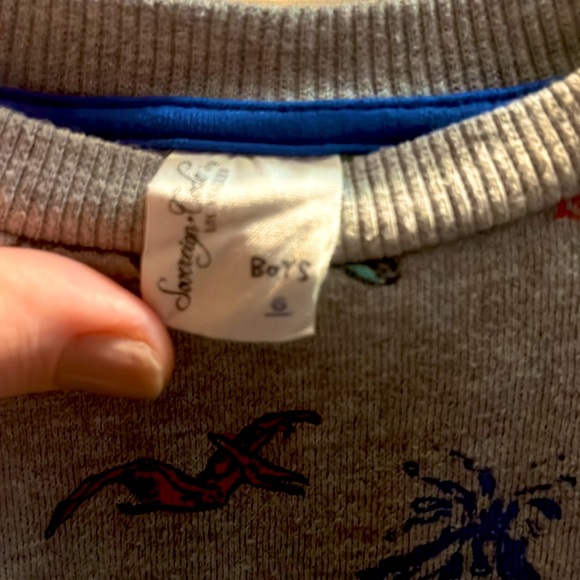 Dinosaur crewneck sweatshirt - Picture 4 of 4